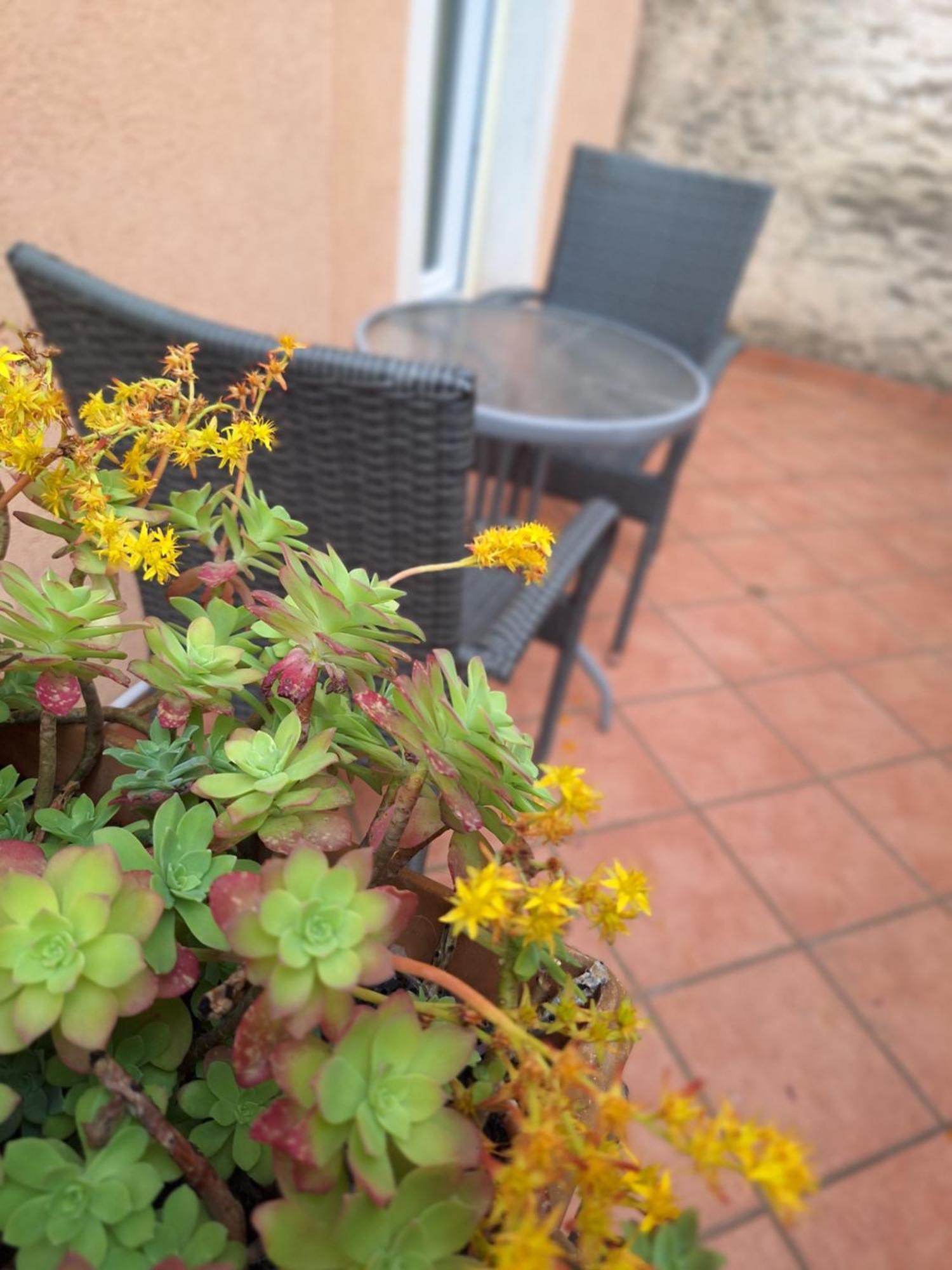 Apartment Lupo Воднян Экстерьер фото